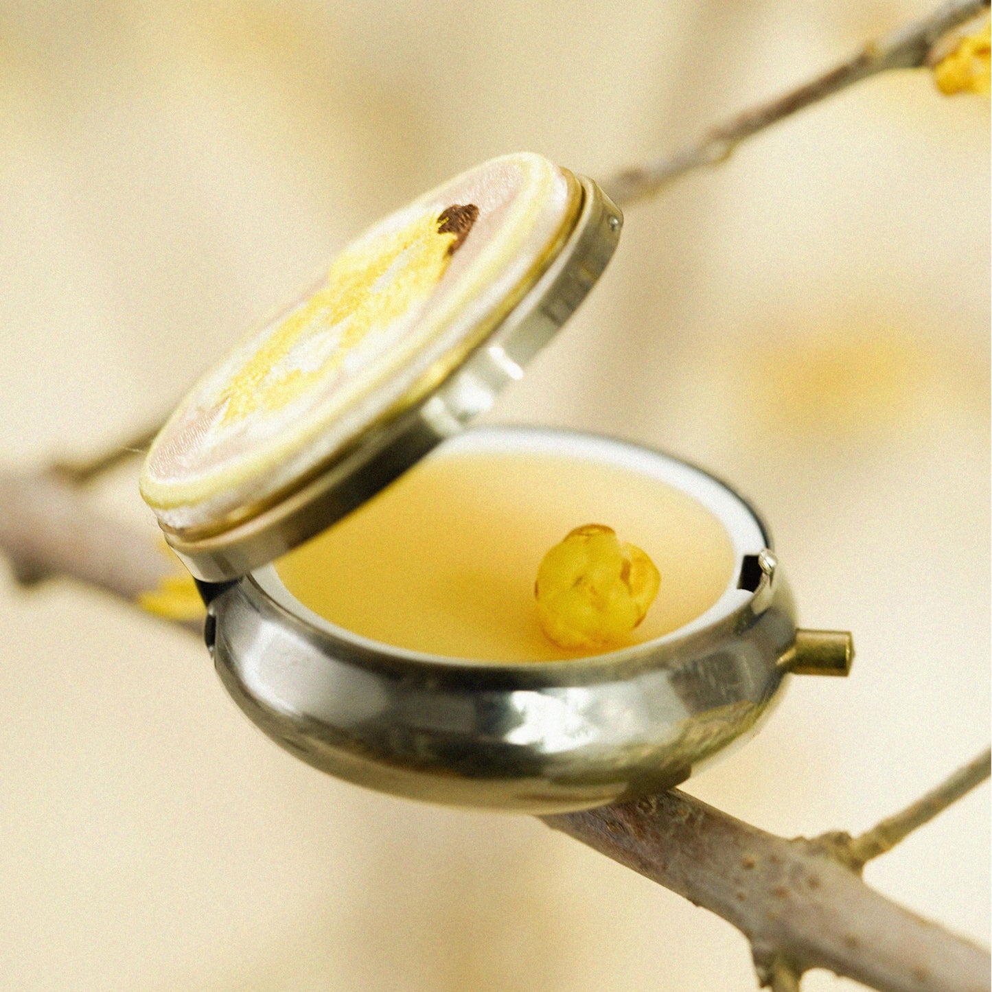 Wintersweet Whisper Solid Perfume Balm