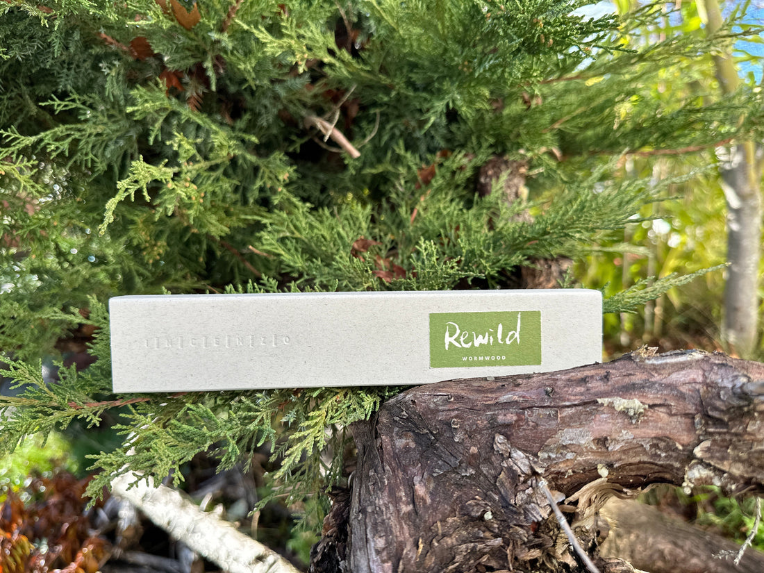INCENZO Rewild wormwood incense stick burning outdoors in summer