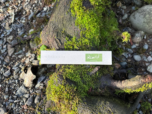 Gifting Scented Sentiment: The Tradition of Incense in Chinese Culture