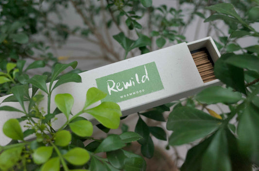 Rewild Wormwood incense box among green leaves