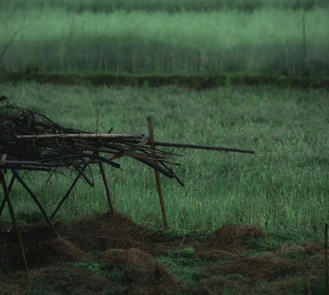Qingming Festival Incense: Rituals, Meaning, and How to Honor Ancestors