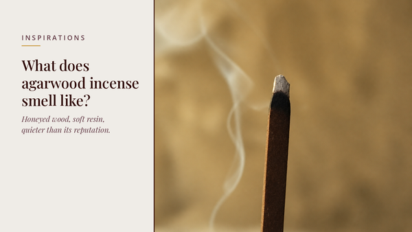 INCENZO blog header — What does agarwood incense smell like — lit Stillwood agarwood stick with a thread of smoke against warm stone