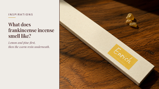 INCENZO blog header — What does frankincense incense smell like — Enrich frankincense box beside resin tears on warm oak