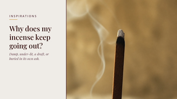INCENZO blog header — Why does my incense keep going out — lit incense tip with a thread of smoke in warm light