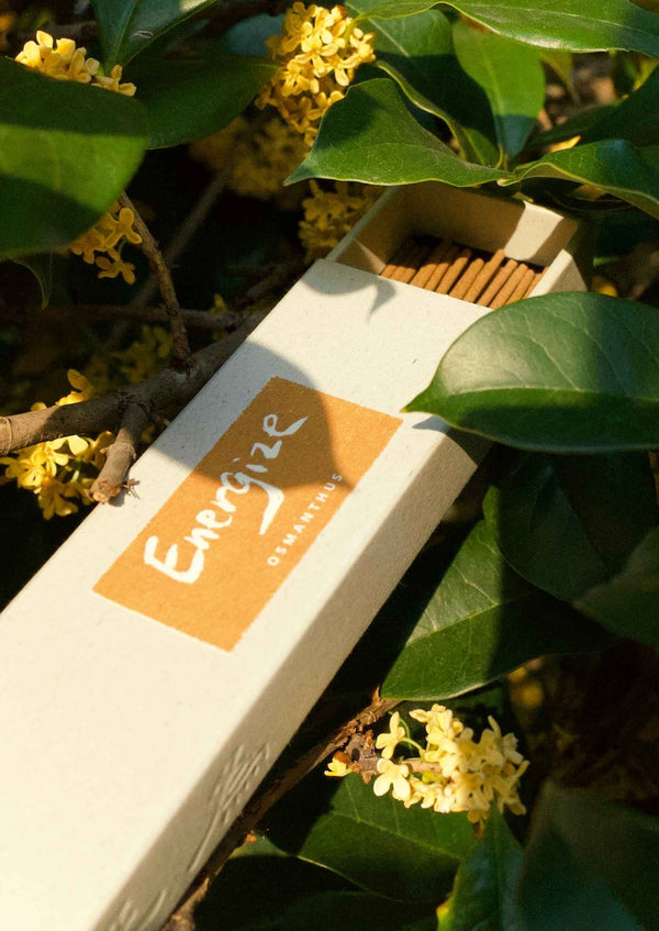 INCENZO Energize Osmanthus Incense