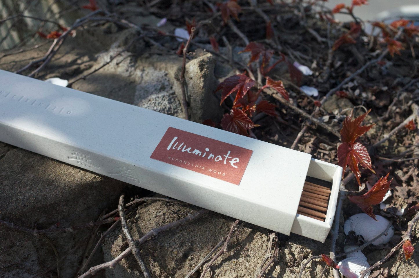 acronychia wood incense in nature