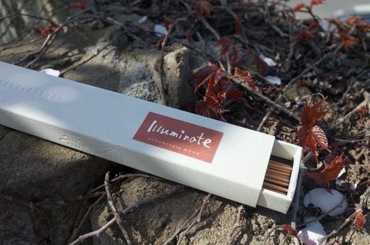 acronychia wood incense in nature