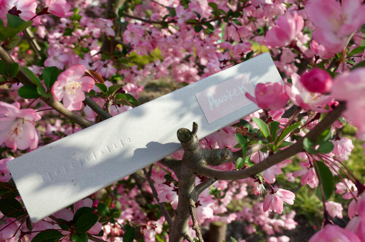 Peach Blossom Incense with pink flowers blooming