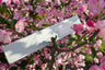 Awaken | Peach Blossom Incense