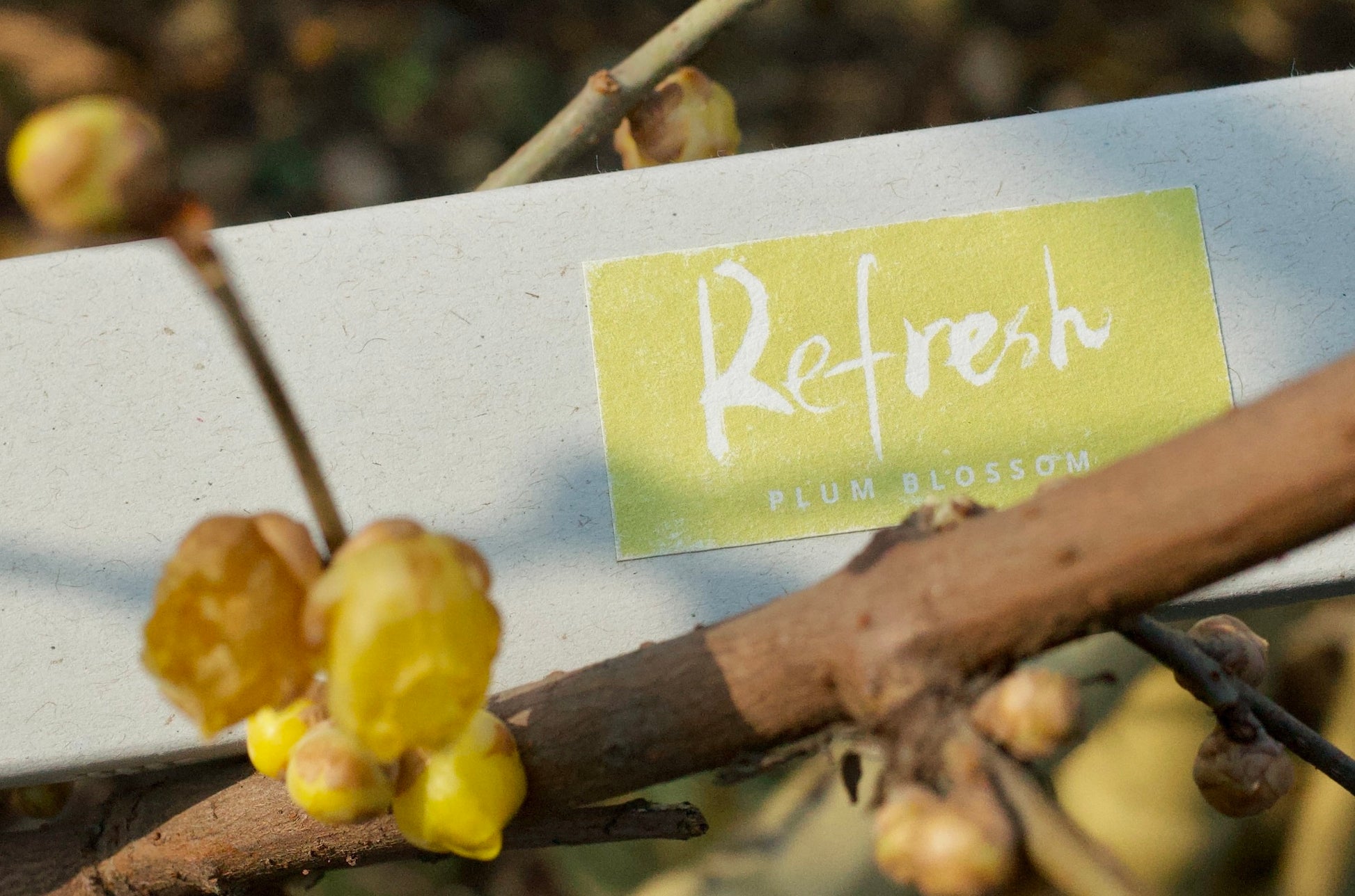plum blossom incense on a plum tree with blooming flowers