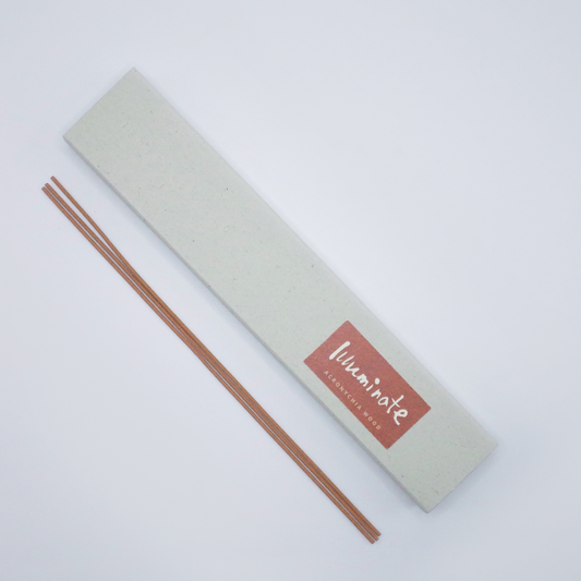 Illuminate | Acronychia Wood Incense - INCENZO