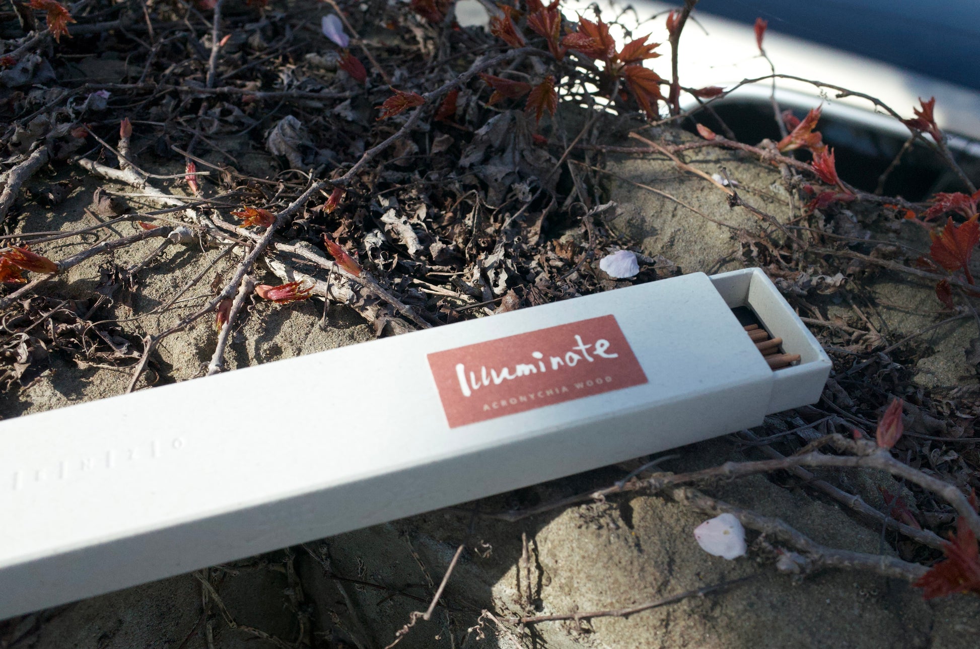 Illuminate Acronychia Wood Incense