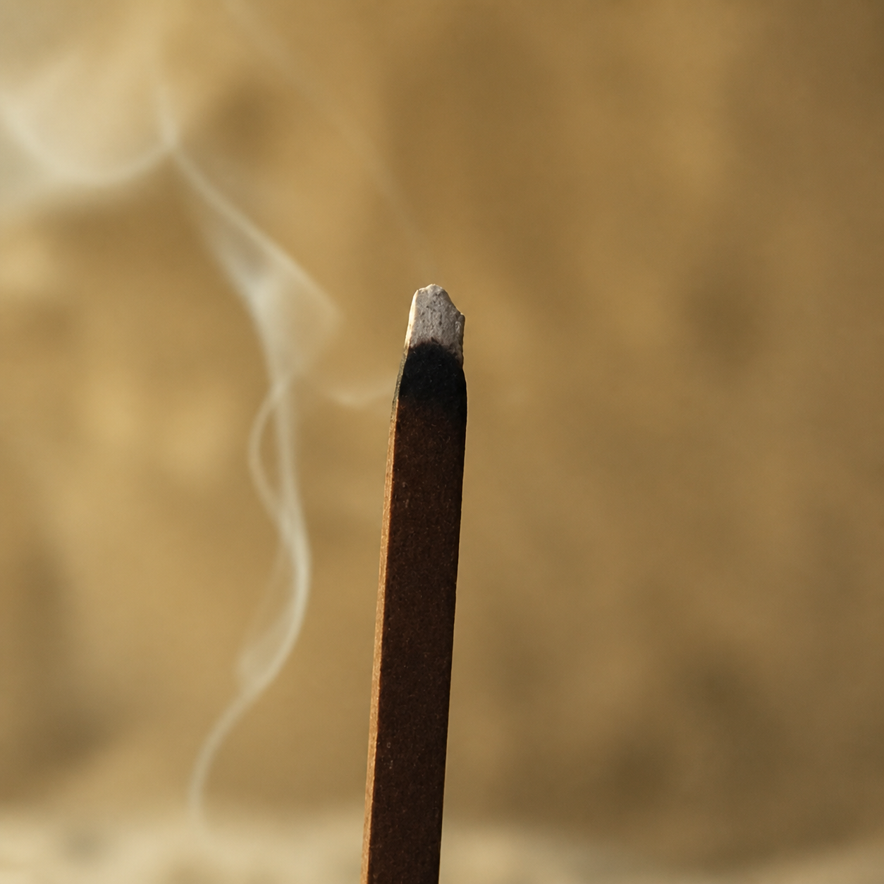 After Rain | Taihang Cliff Cypress Incense